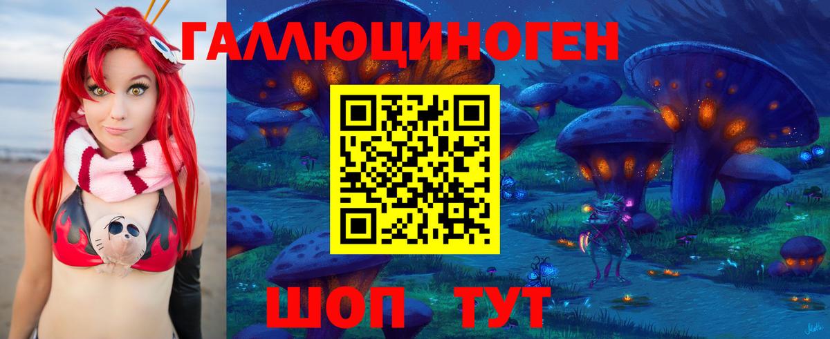 Галлюциногенные грибы Psilocybine cubensis  Вход с VPN  Краснознаменск 