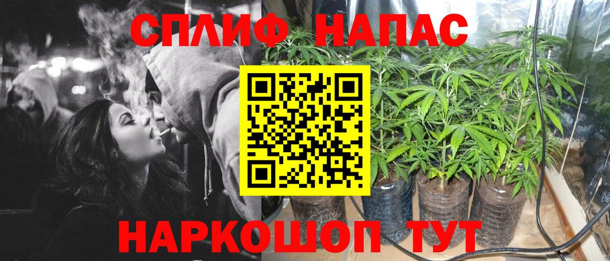 Шишки марихуана SATIVA & INDICA  Канабис план  Вход с VPN  Краснознаменск 